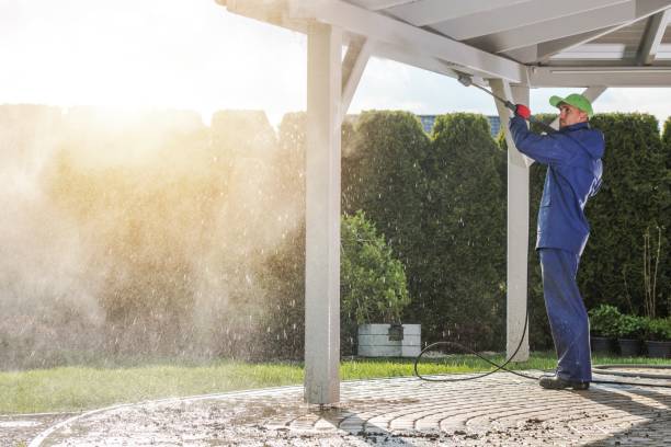 Solar Panel Cleaning in Ninnekah, OK