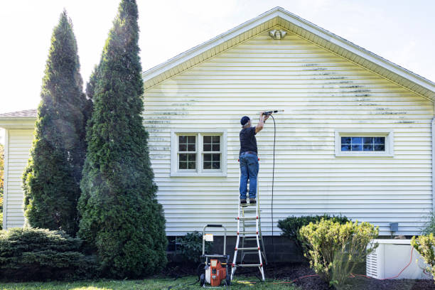 Best Historic Building Restoration  in Ninnekah, OK